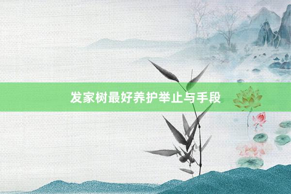 发家树最好养护举止与手段