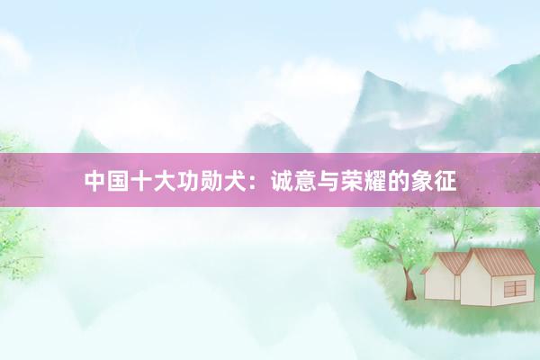 中国十大功勋犬：诚意与荣耀的象征