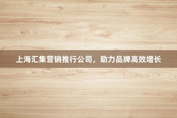 上海汇集营销推行公司，助力品牌高效增长